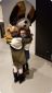 Kinderen knuffelen een mascotte